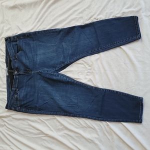 Molly and Isadora size 22 jeggings